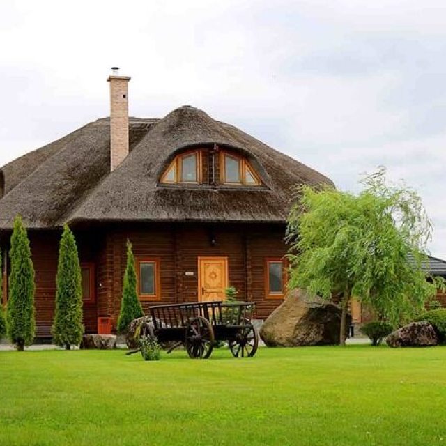 Очаровательный домик с соломенной крышей и деревянными стенами, окруженный высокими кустарниками